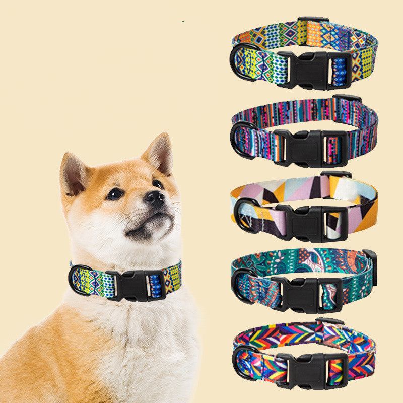 How to Choose the Right Dog Collar: A Complete Guide for Pet Owners