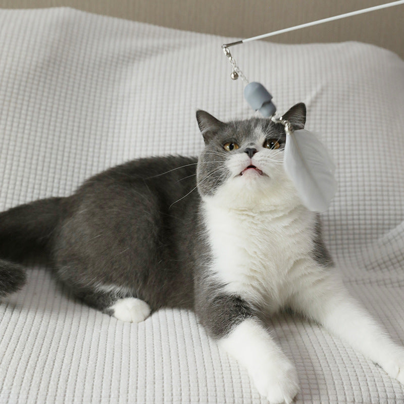 Why Interactive Feather Cat Wands Are Essential for Indoor Cats
