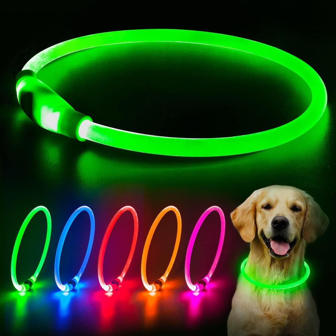Why Every Dog Needs a USB Rechargeable LED Collar for Night Walks