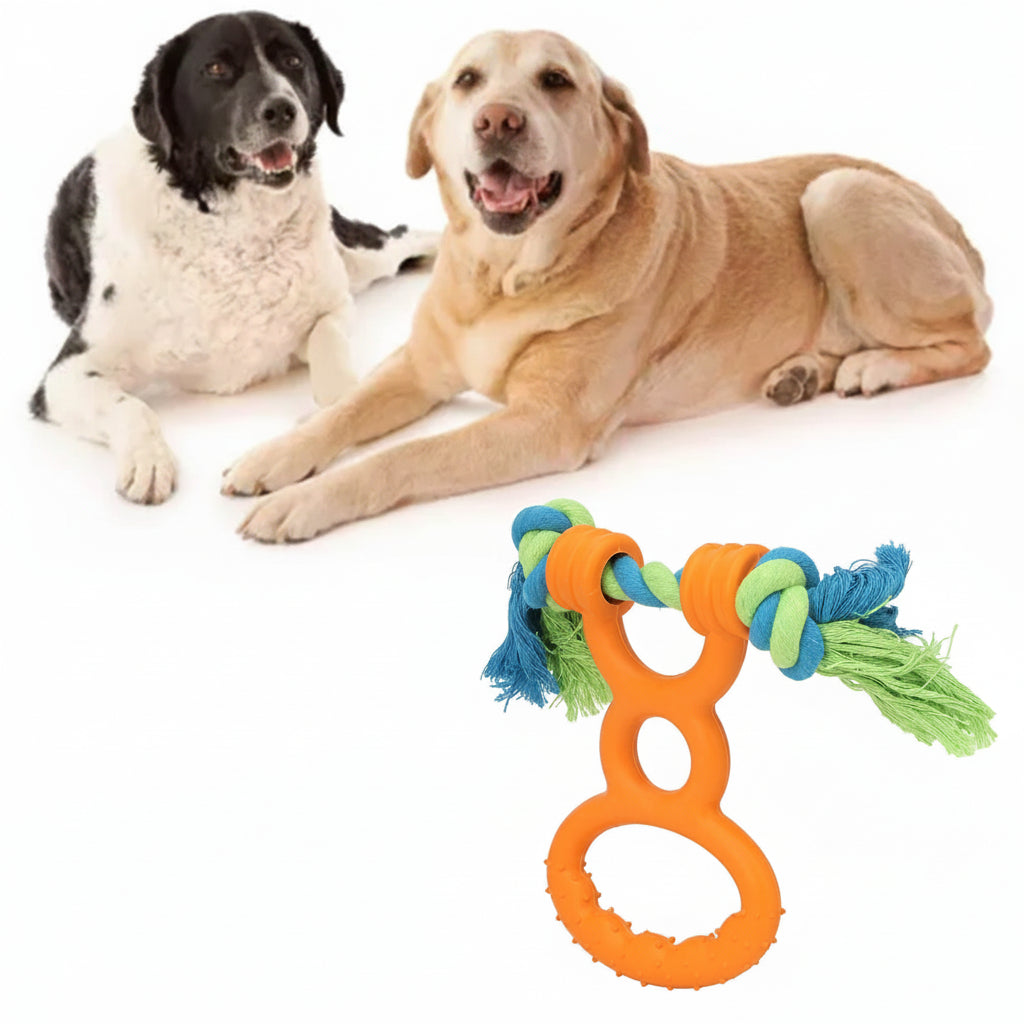 Why Interactive Toys Are Essential for Your Dog's Health and Happiness