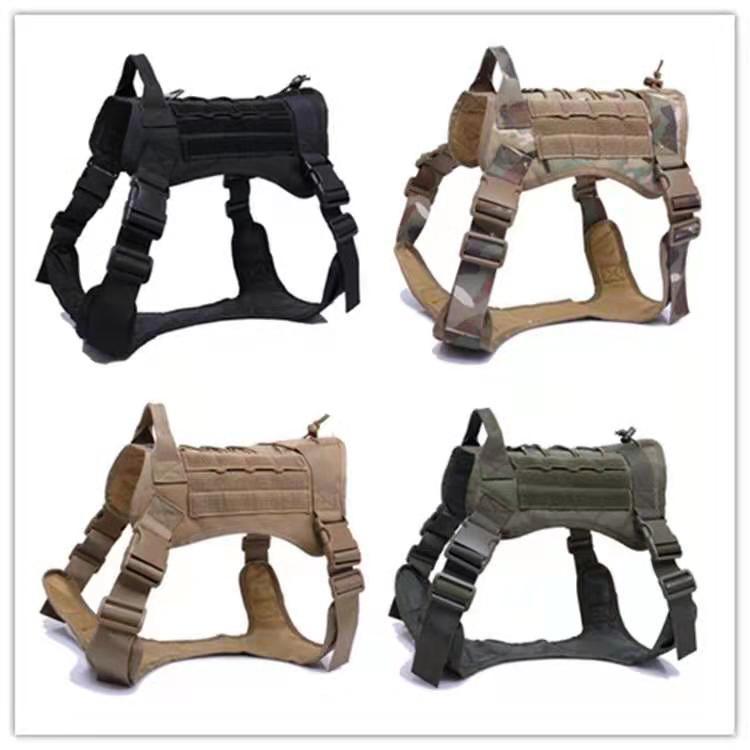 Why Every Dog Needs a Comfortable and Secure Harness
