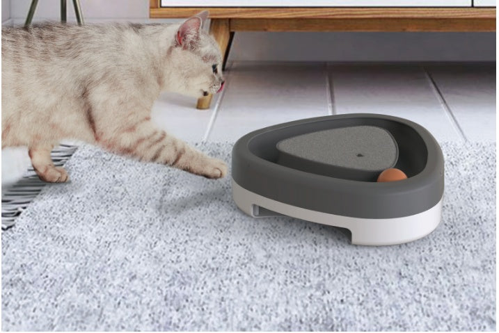 Why Interactive Cat Toys Are Essential for Happy Indoor Cats
