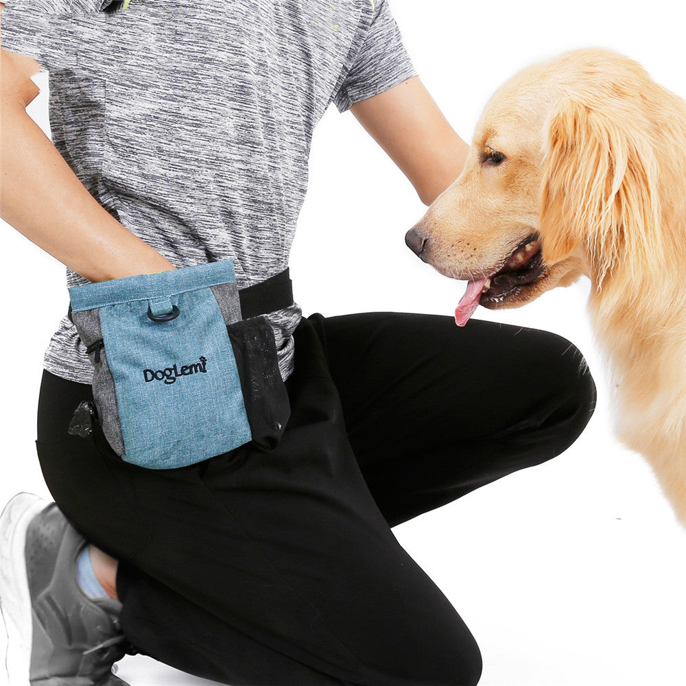 Why a Dog Training Treat Pouch Makes Walks and Training Easier