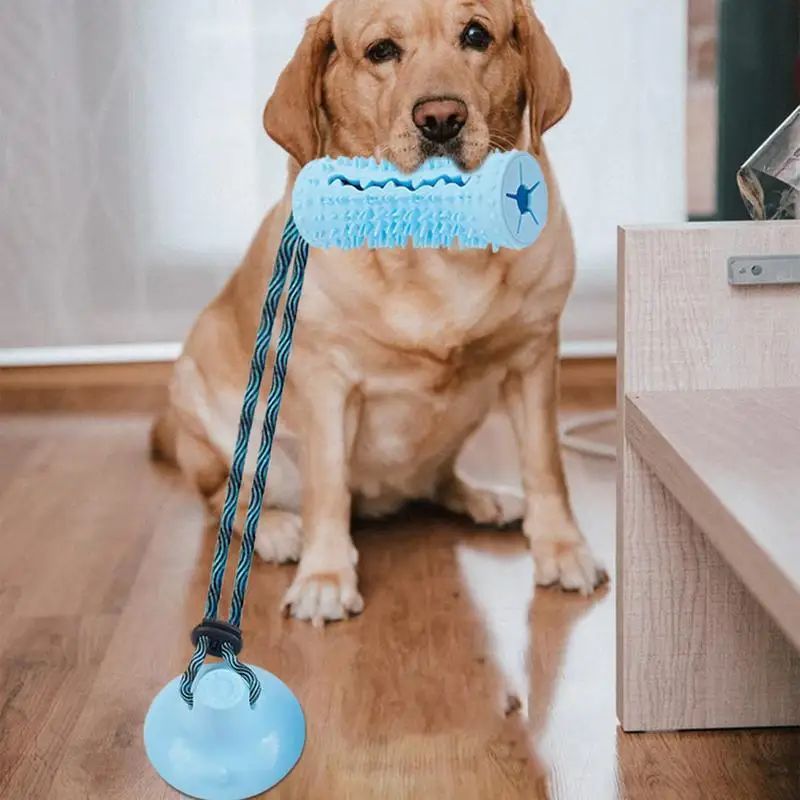 Why Interactive Dog Toys Are Essential for Your Dog's Health and Happiness
