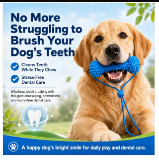 Golden retriever chewing PawBite dental toy - No More Struggling to Brush Your Dog's Teeth