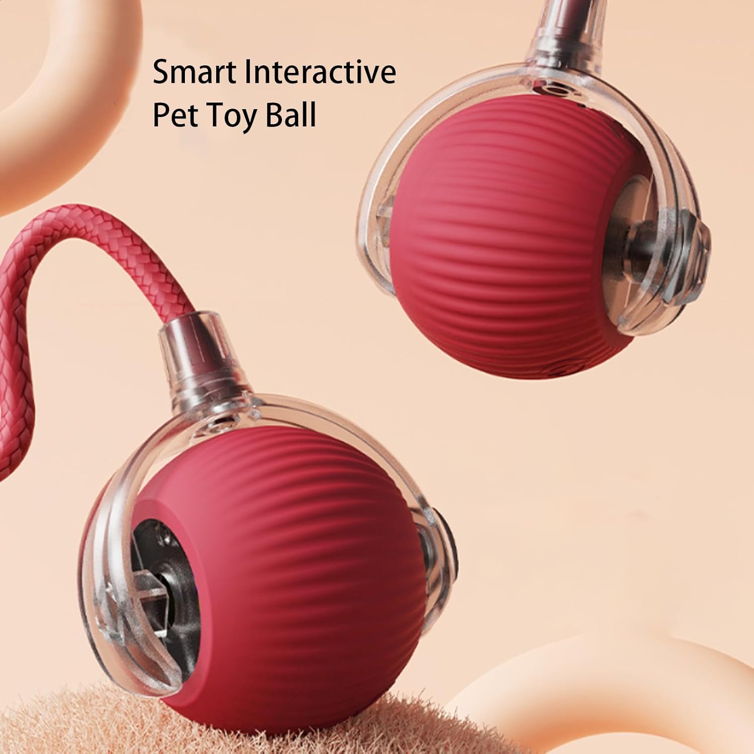 Cat Toys