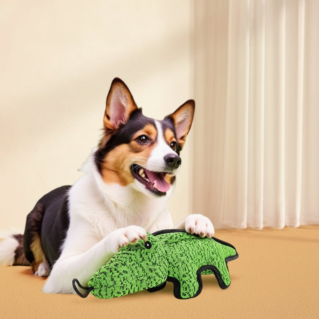 Dog enjoying the PawChomp™ squeaky crocodile toy during playtime