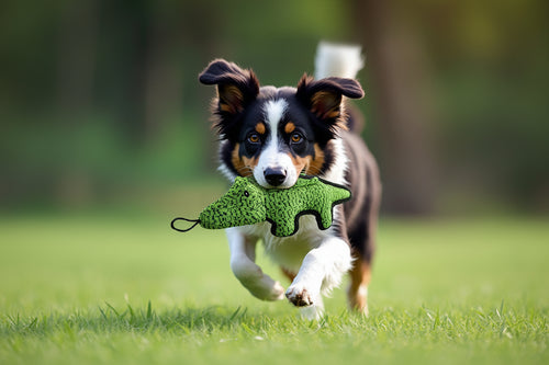 PawChomp™ squeaky crocodile dog toy made from durable canvas for interactive chewing and play