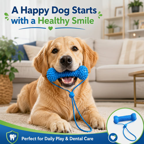 Dog with PawBite dental chew toy for everyday oral care