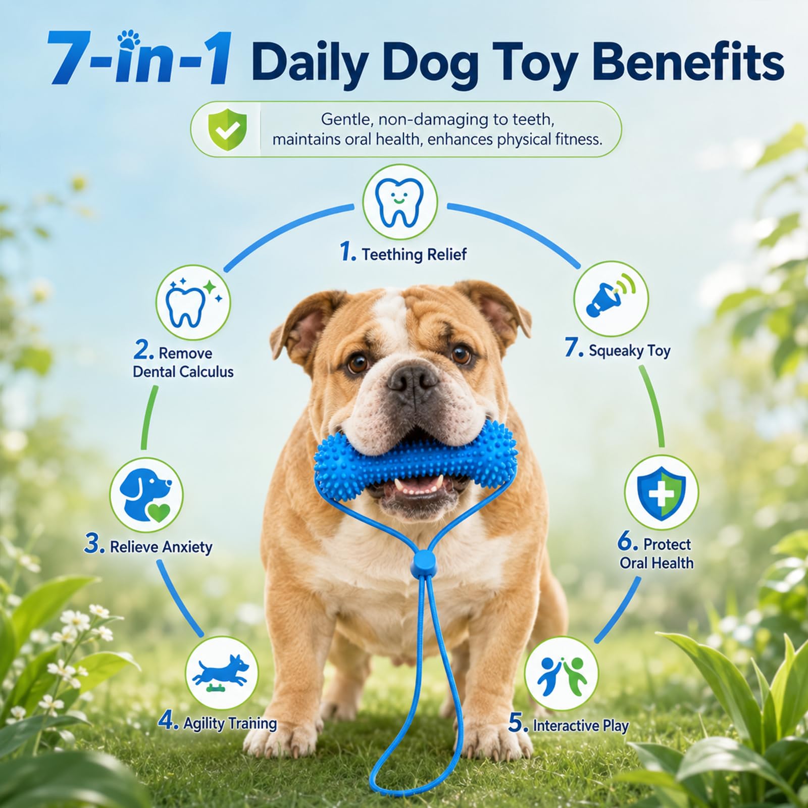 PawBite textured dog chew toy features and benefits
