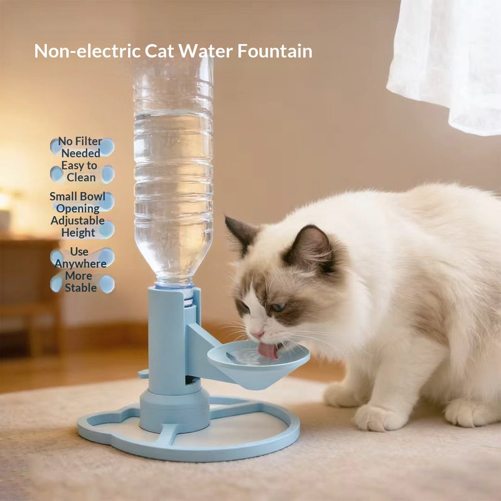 Cat drinking from blue PawHydrate non-electric water fountain