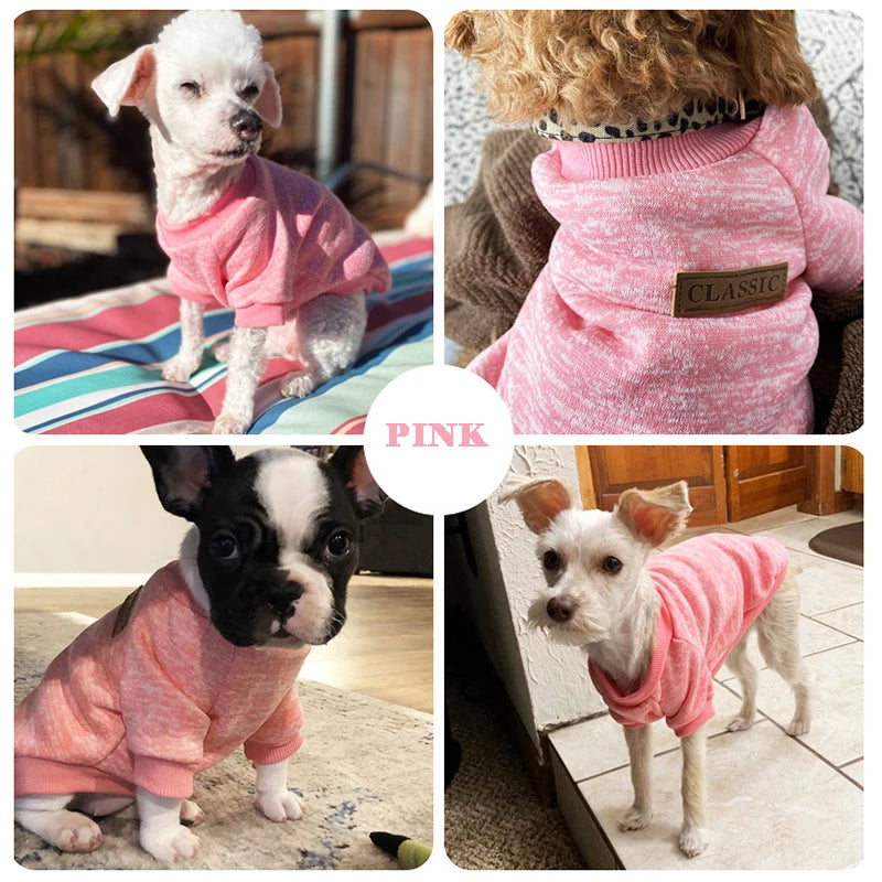 Keep You Warm - Cozy Pet Sweatshirt for Small Dogs & Cats