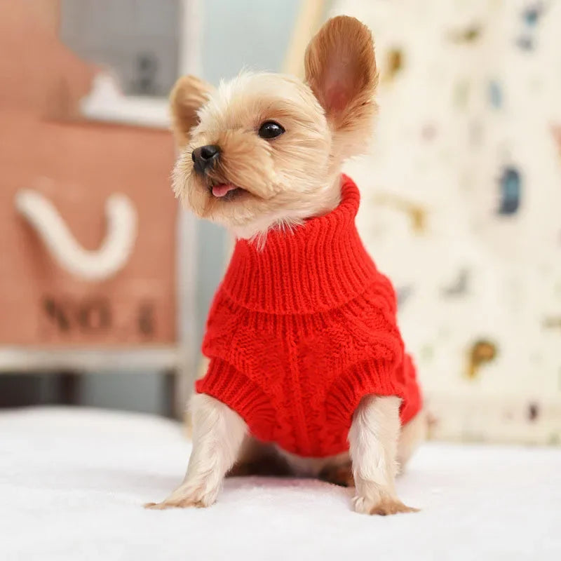 Knitted Winter Sweater for Small & Medium Dogs