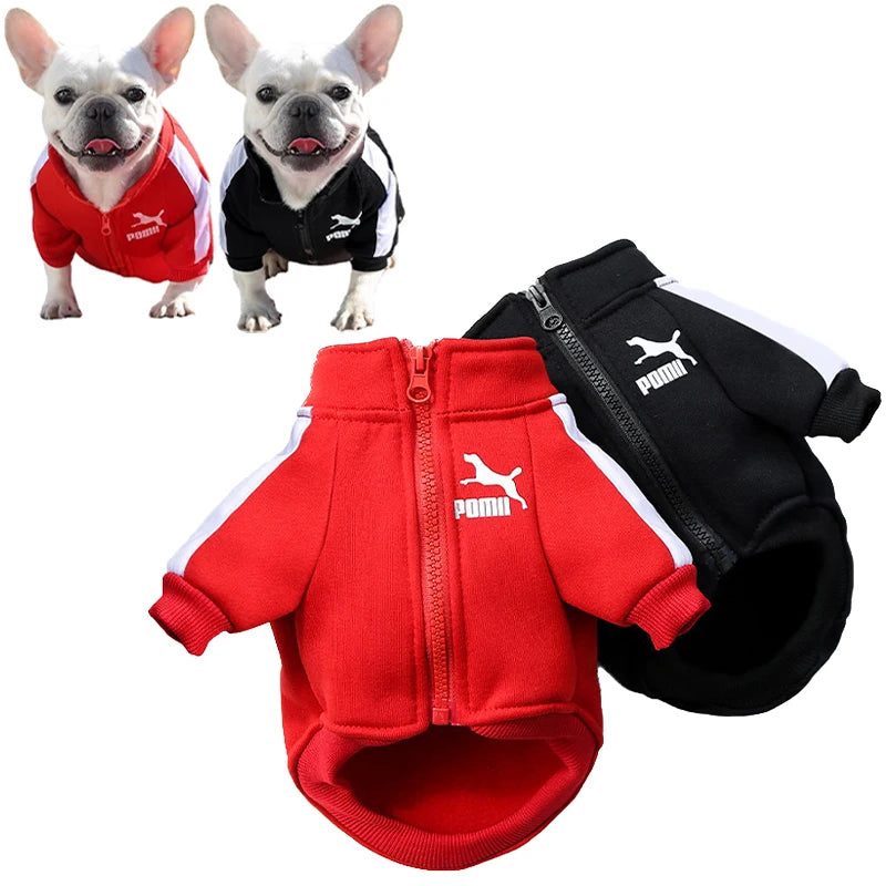 ozy Winter Baseball Dog Jacket - Small to Medium Dogs