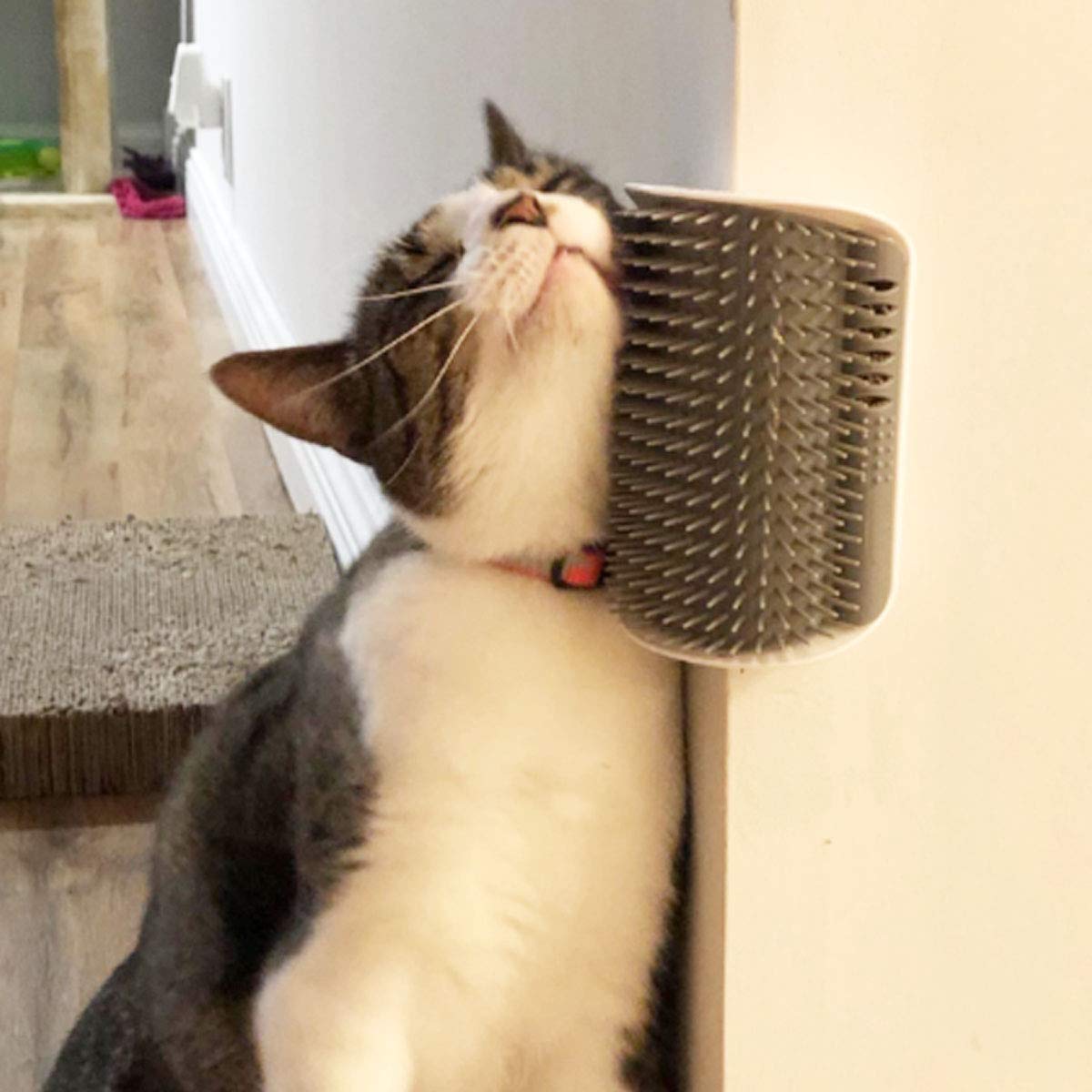 PawGroom™ self-grooming corner brush for cats mounted on a wall corner