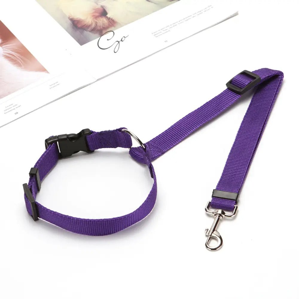 Dog secured safely with the PawRide™ car safety seat belt during travel