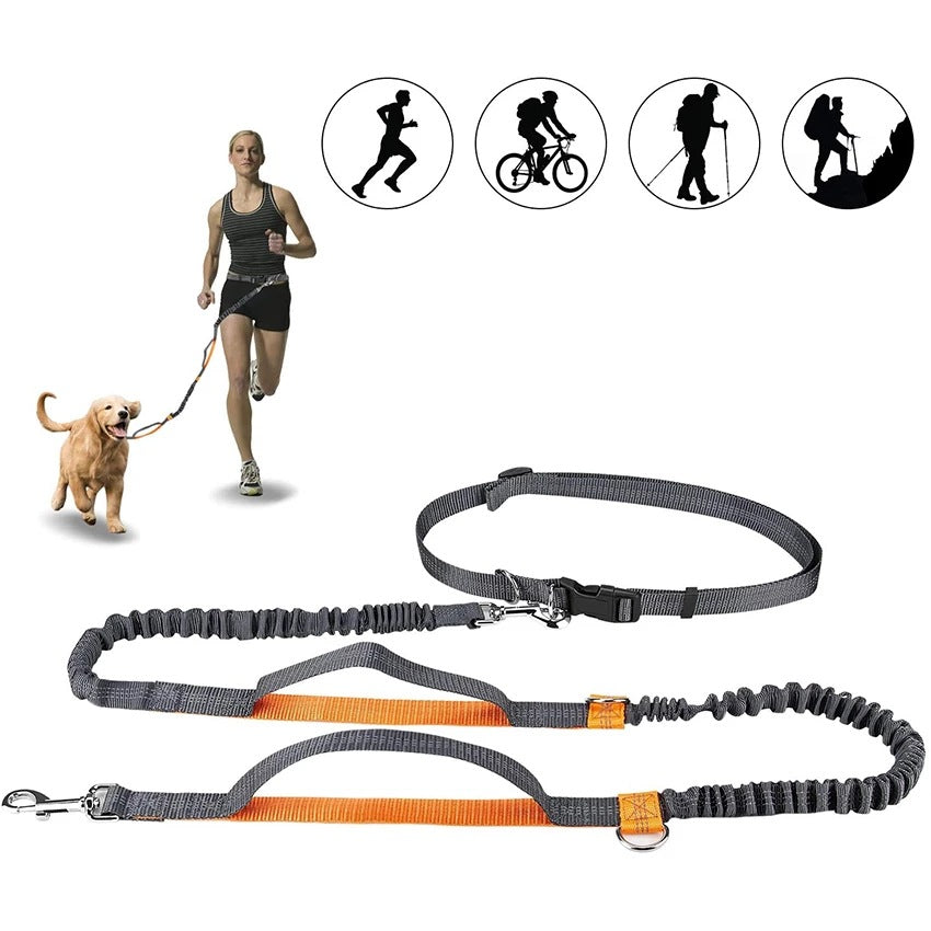 PawRun™ hands-free dog jogging leash available in green, blue and orange