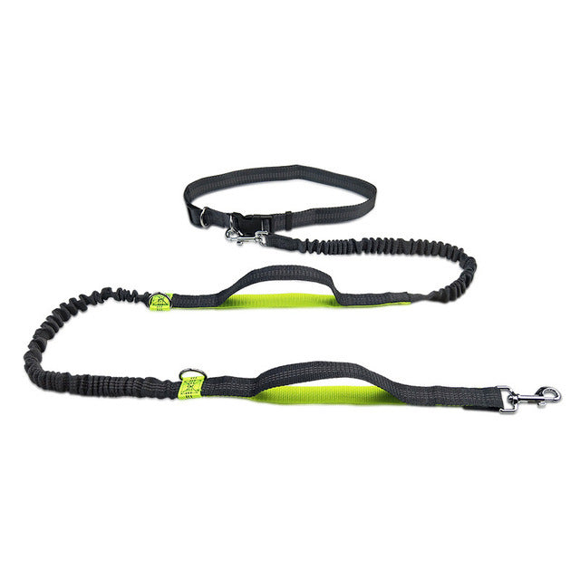 Green PawRun™ adjustable hands-free nylon dog jogging leash