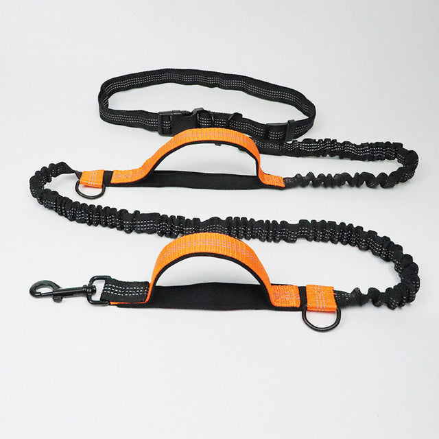 Orange PawRun™ adjustable hands-free nylon dog jogging leash