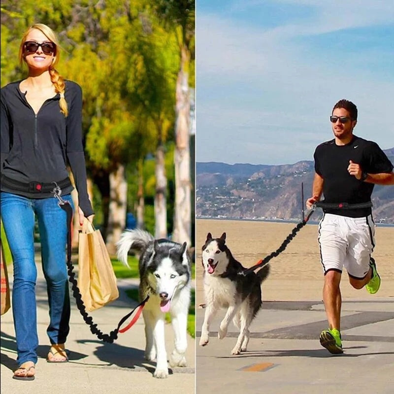 PawRun™ hands-free dog leash for walking and jogging outdoors