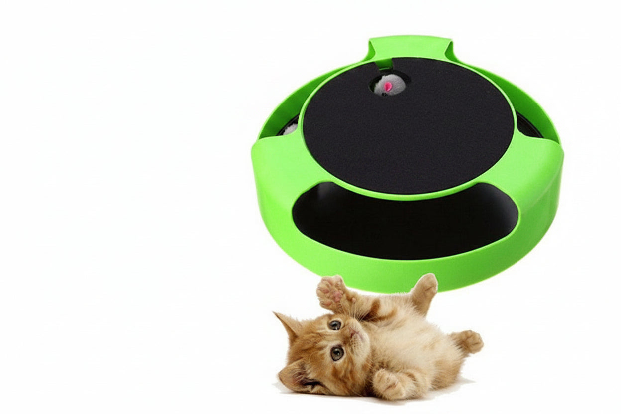 PawSpin indoor cat enrichment and chase toy