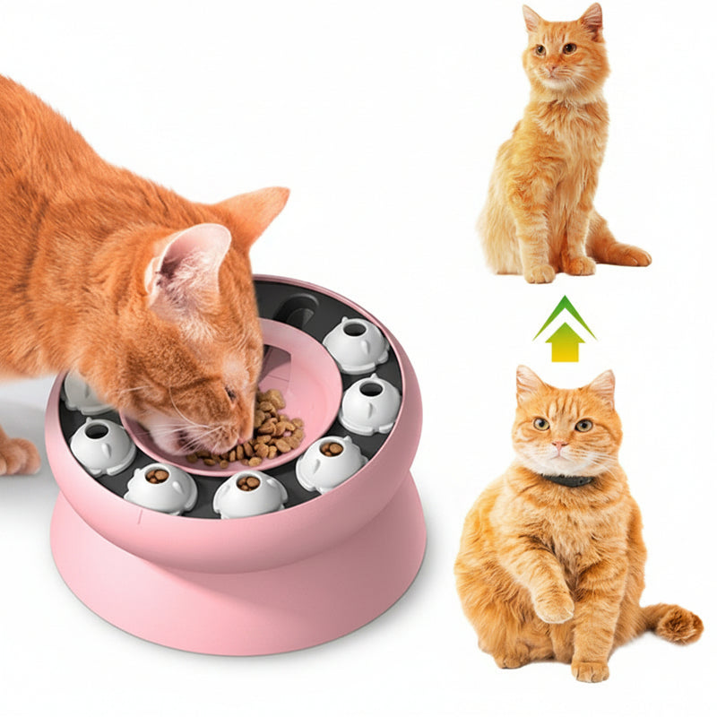 Cats
